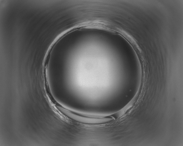 X0000084551200200702231156