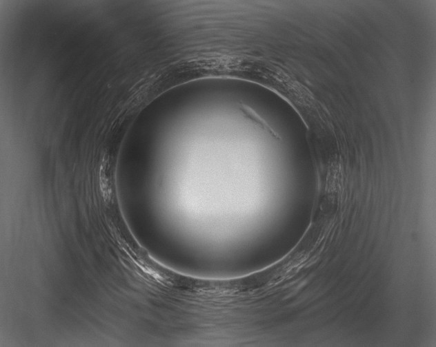 X0000084551202200702231155