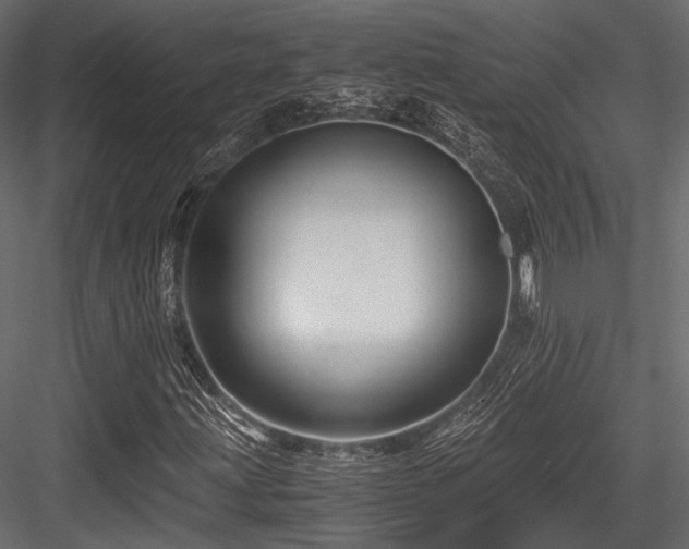 X0000084551203200702231155