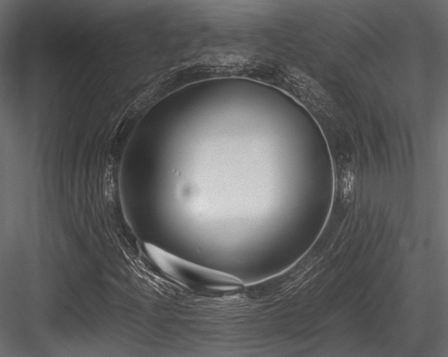 X0000084551204200702231155