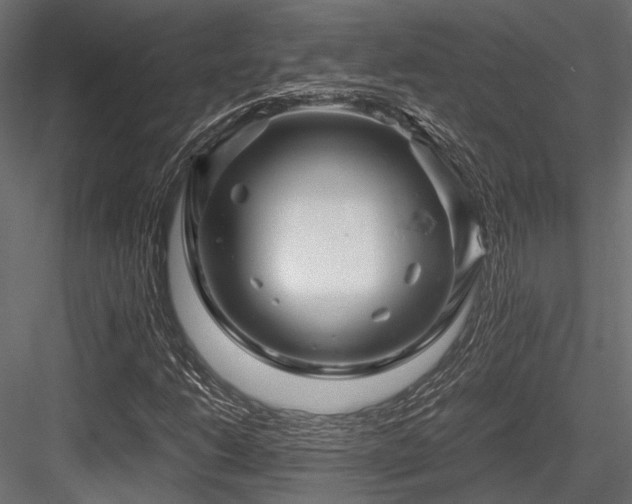 X0000084551206200702231155