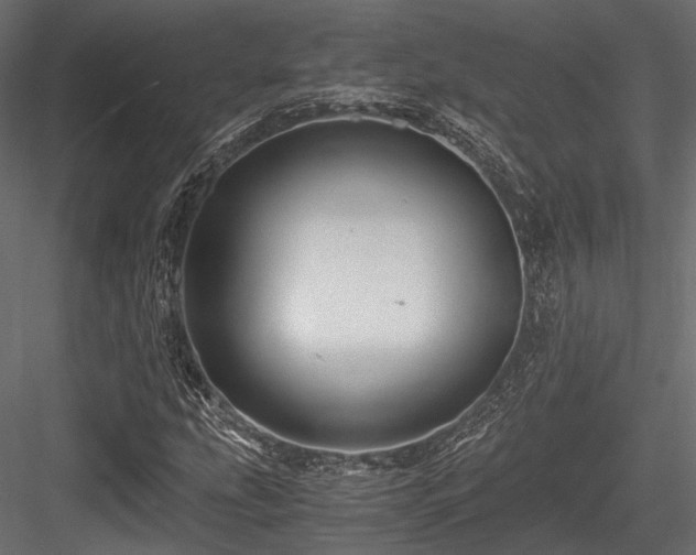 X0000084551207200702231155