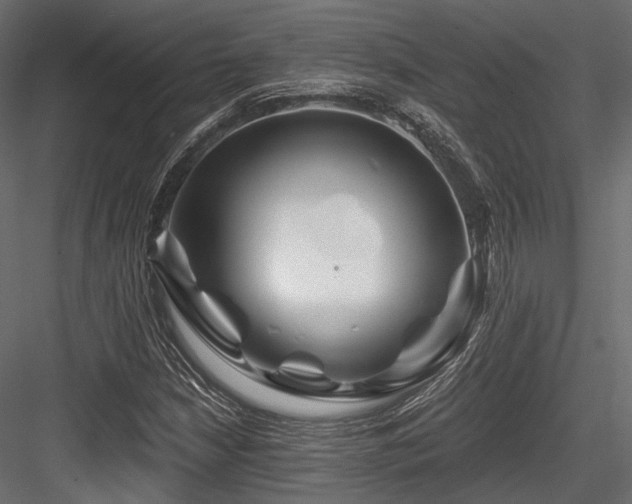 X0000084551210200702231155