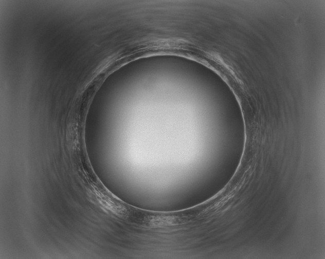 X0000084551211200702231155