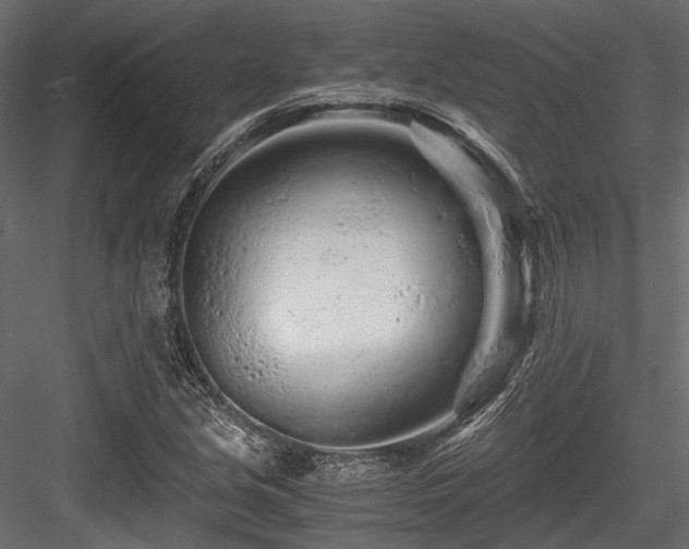 X0000084551213200702231155