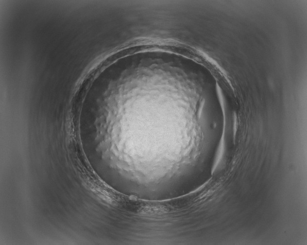 X0000084551215200702231155