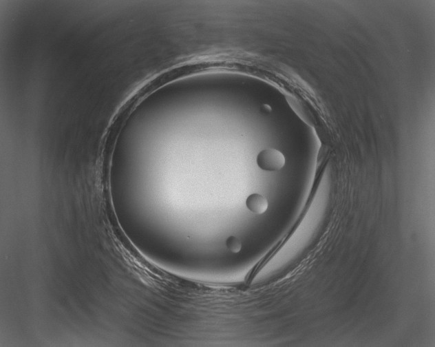 X0000084551216200702231155