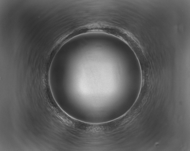 X0000084551217200702231155