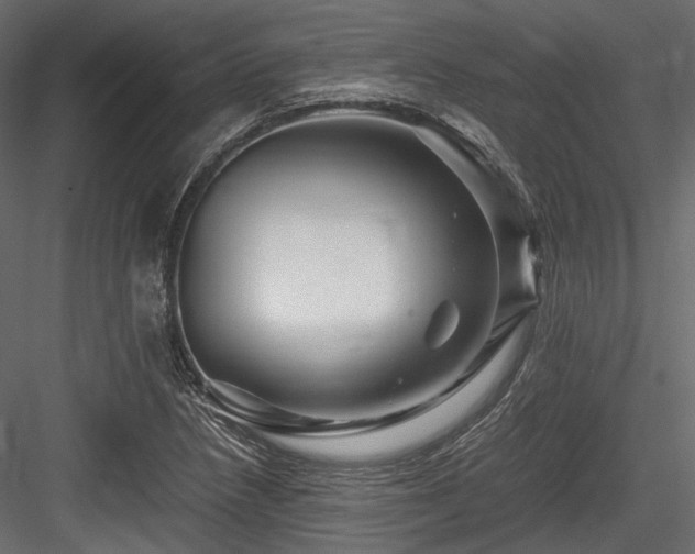 X0000084551218200702231156