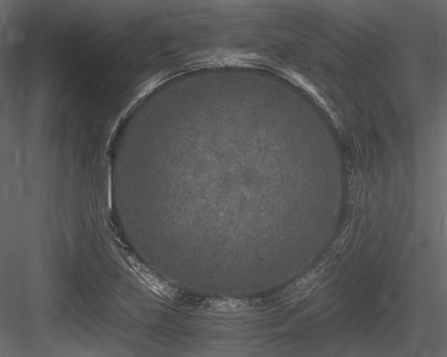 X0000084551219200702231156