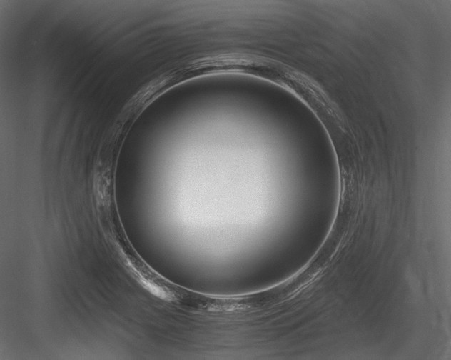 X0000084551225200702231156