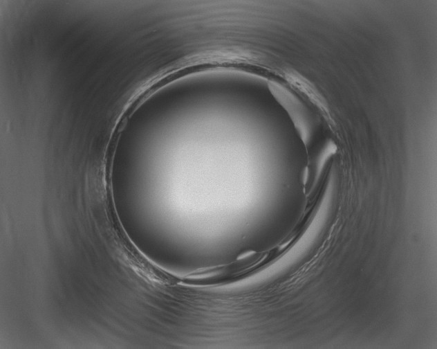 X0000084551226200702231156