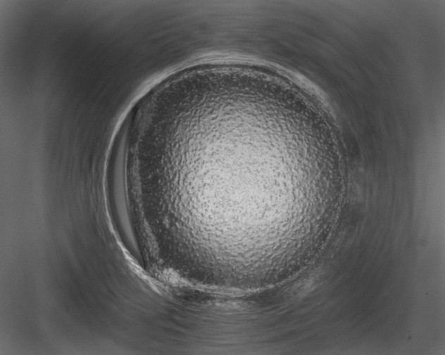 X0000084551231200702231156