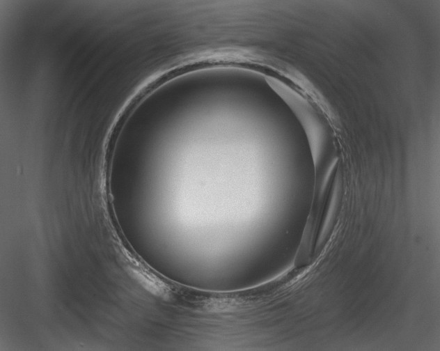 X0000084551232200702231156
