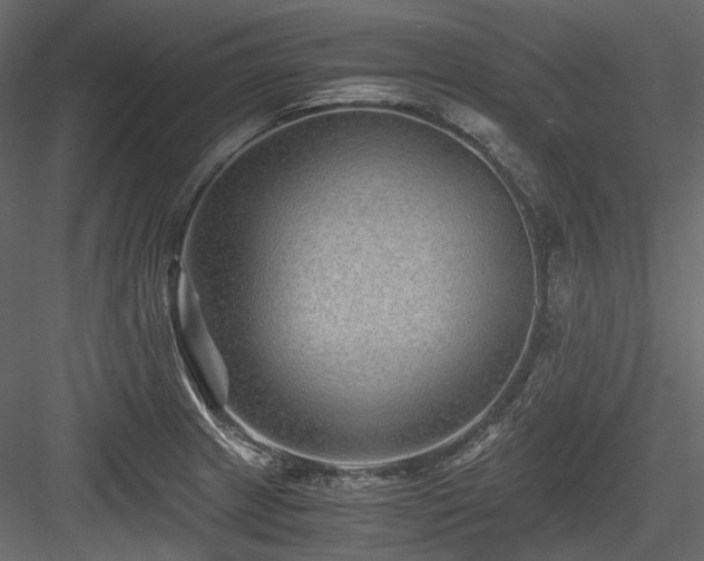 X0000084551233200702231156