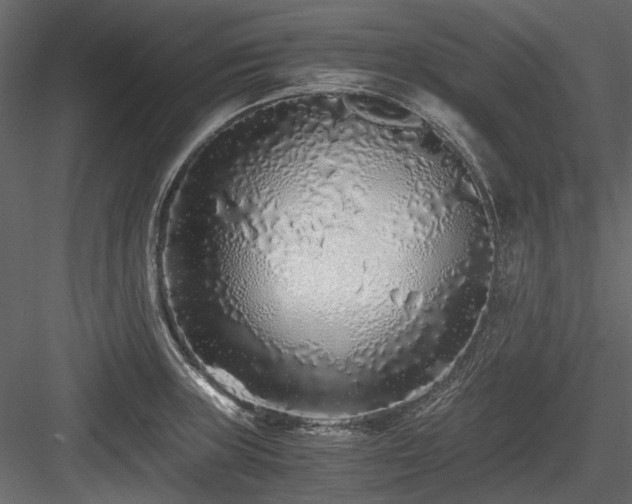 X0000084551235200702231156