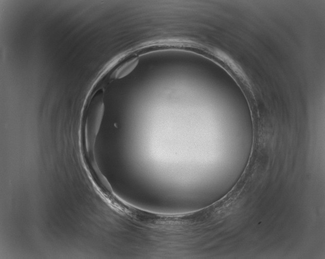 X0000084551237200702231156