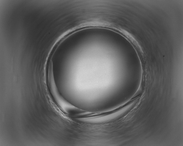 X0000084551238200702231156