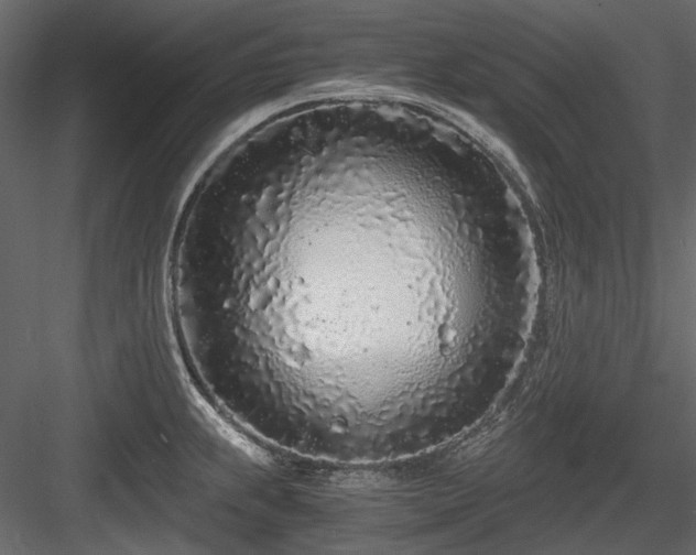 X0000084551239200702231156