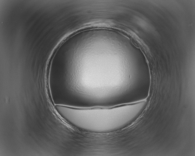 X0000084551240200702231156