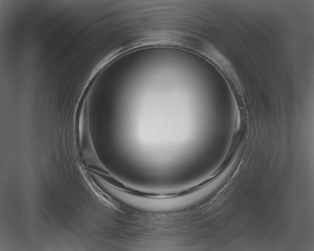 X0000084551242200702231156