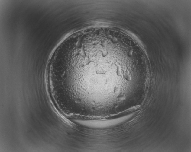 X0000084551243200702231156