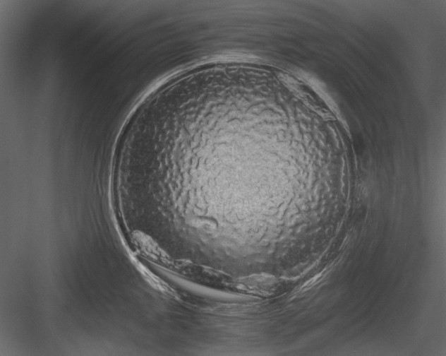 X0000084551245200702231156