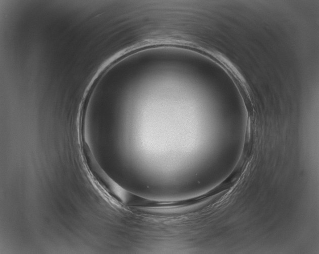 X0000084551246200702231156