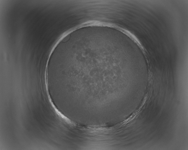 X0000084551247200702231156