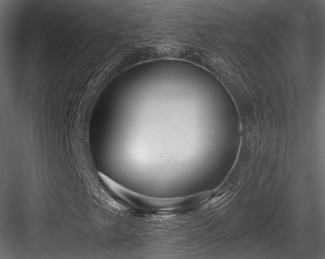 X0000084551249200702231155