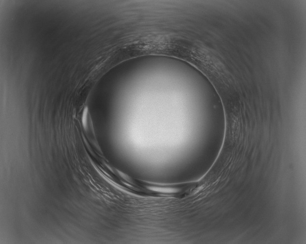 X0000084551250200702231155