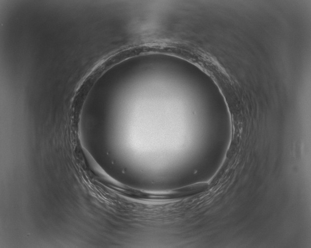 X0000084551256200702231155