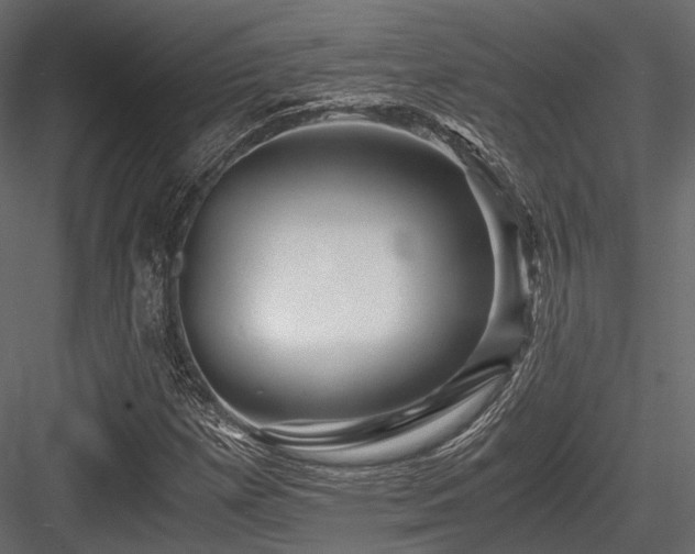 X0000084551257200702231155