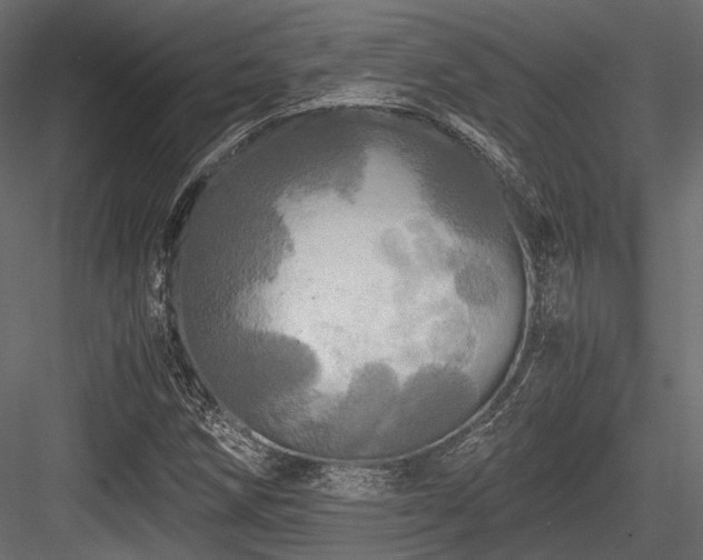 X0000084551258200702231155