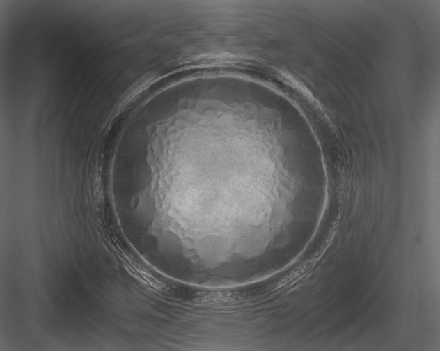 X0000084551259200702231155