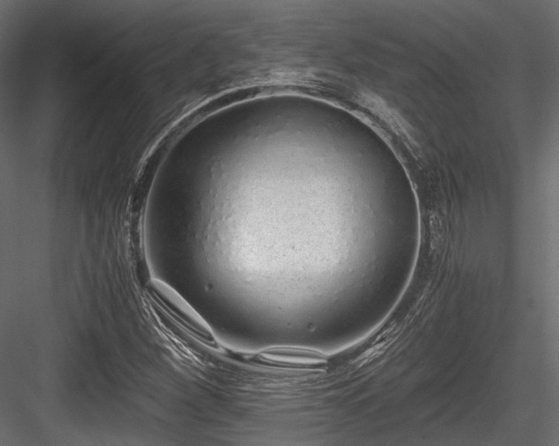 X0000084551260200702231155