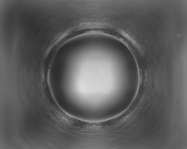 X0000084551261200702231155