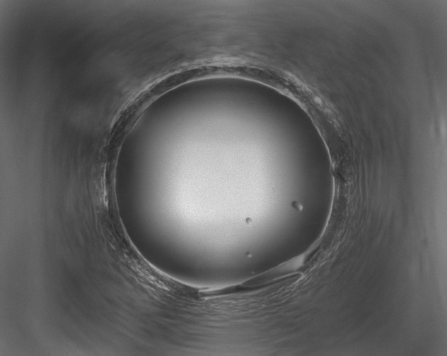 X0000084551262200702231155