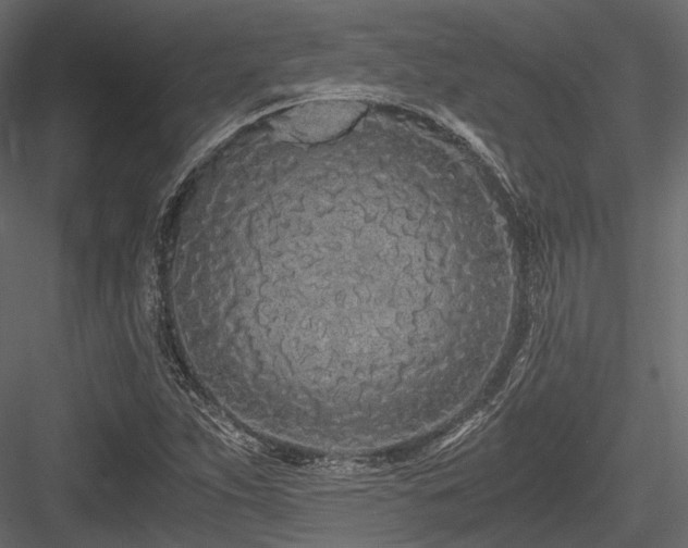 X0000084551263200702231155