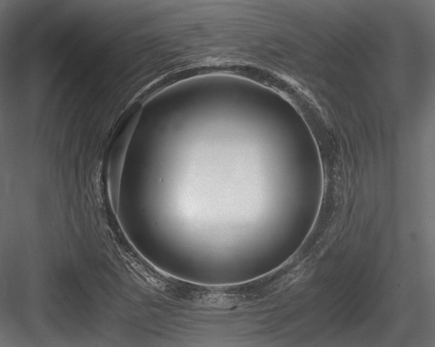 X0000084551265200702231155