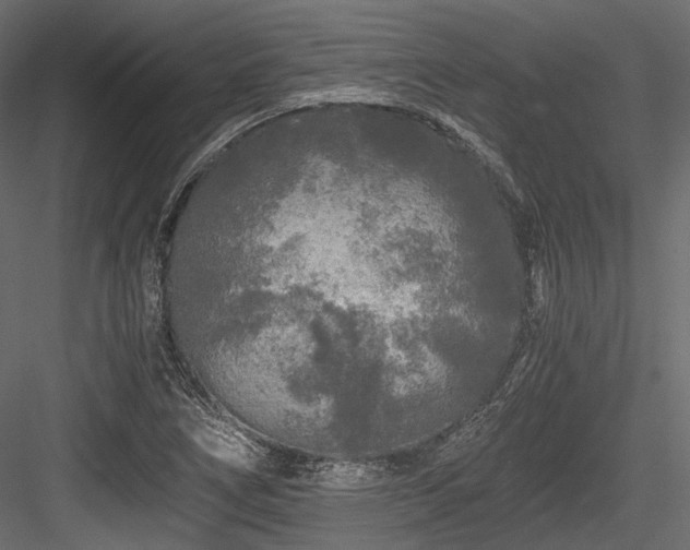 X0000084551266200702231155