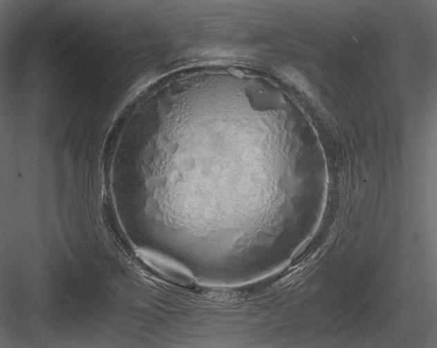 X0000084551267200702231155