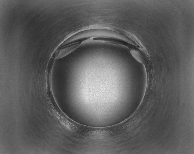 X0000084551268200702231155