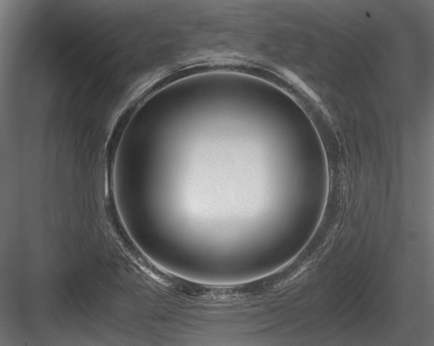 X0000084551269200702231155