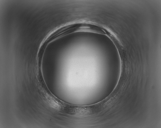 X0000084551270200702231155