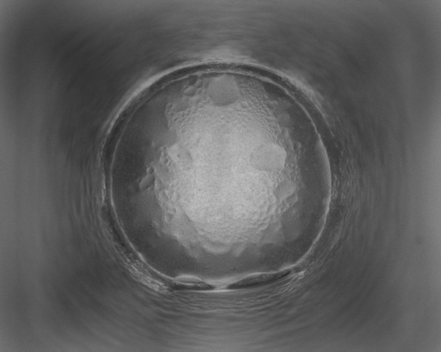 X0000084551271200702231155