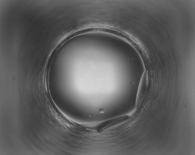 X0000084551272200702231155