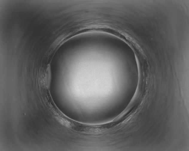 X0000084551273200702231155