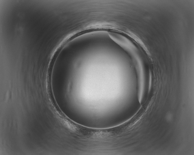 X0000084551277200702231155