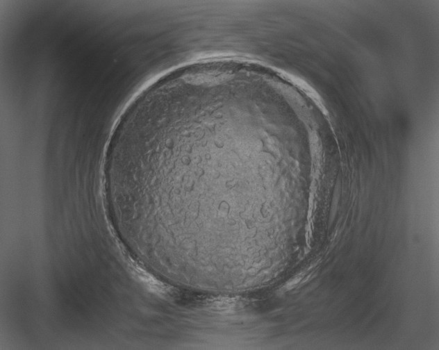 X0000084551279200702231155